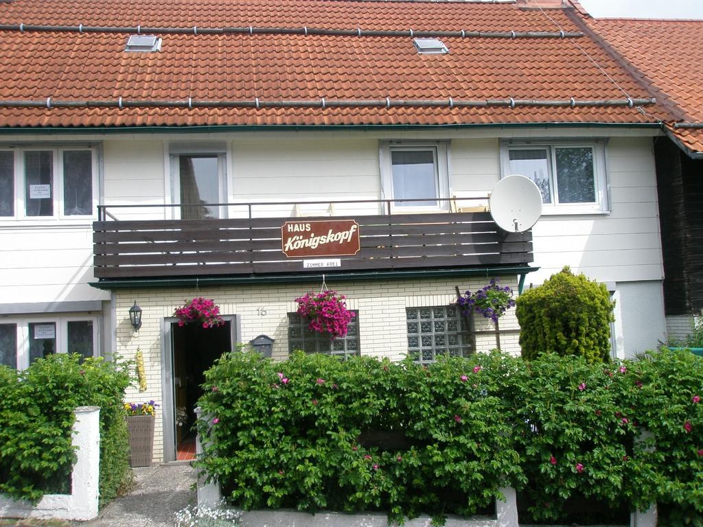 Harzpension Haus Koenigskopf Braunlage Ngoại thất bức ảnh